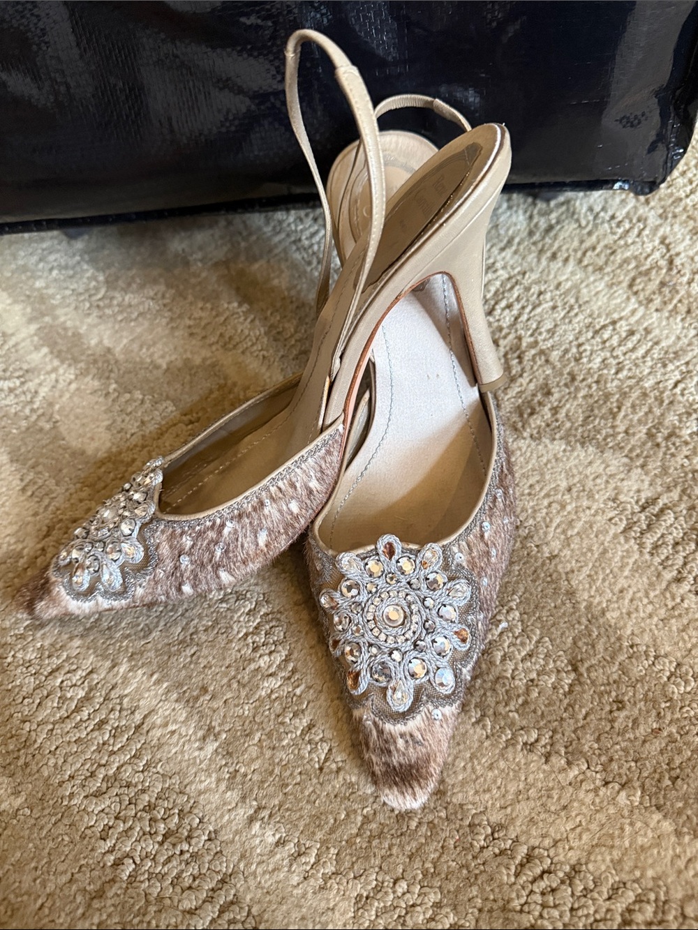 Rene Caovilla Beige Embellished Pointed-Toe Slingback Heels